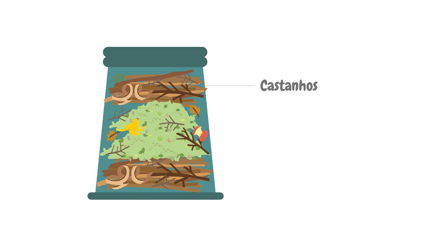 6. Última Camada Compostagem