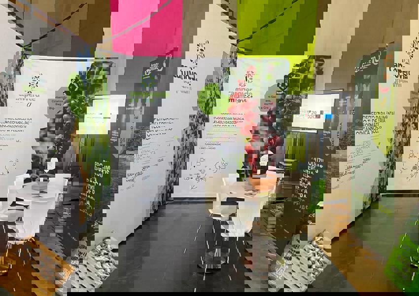 FNA