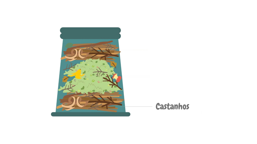 2. Adicione Castanhos Compostagem
